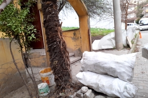 İhtiyaç sahibi Ailelerimize Odun yardımlarına başladık