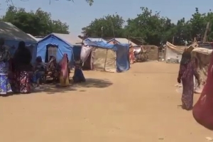 Bugün Afrika kamerunda şiddetli yağışlar ve seller sonucunda evsiz kalan çadırlarda yaşayan yetim yoksul ailelere ekmek dağıtımında bulunduk Kasım 2022