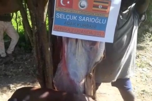 Afrika Uganda Adak kurban