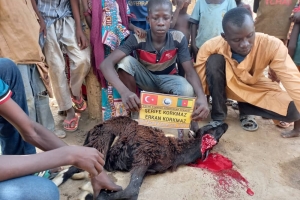 Afrika Kamerun Adak kurbanı