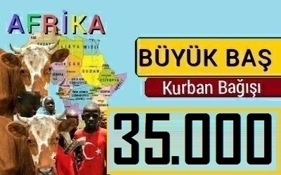BÜYÜK BAŞ HAYVAN KURBAN BAĞIŞI