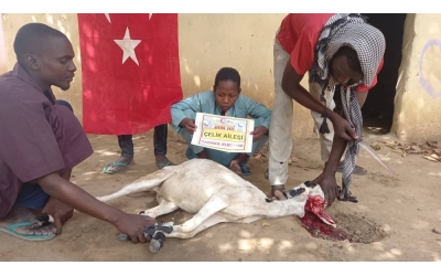 Afrika Benin'de Sadaka kurban kesip yoksul ailelere dağıttık