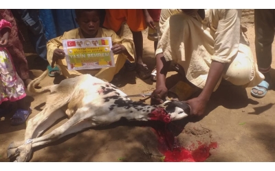 Afrika Çad Vacip Kurban kesimi ve dağıtımı Kurban Bayramı Temmuz 2022