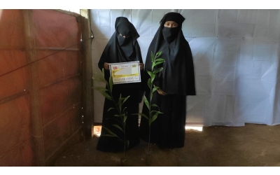 Bangladeş Arakan kamplarında fidan dikimi