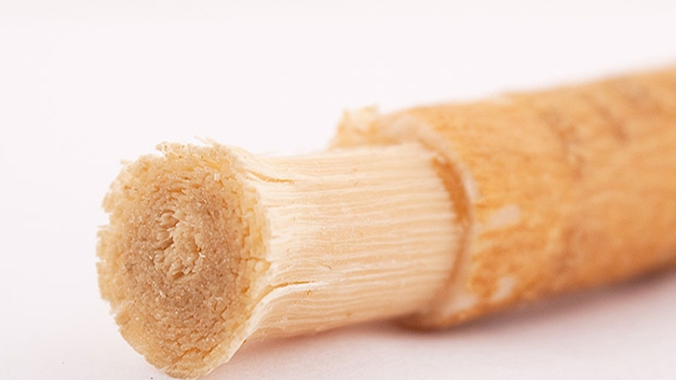  MİSVAK’ın 100 FAYDASI 