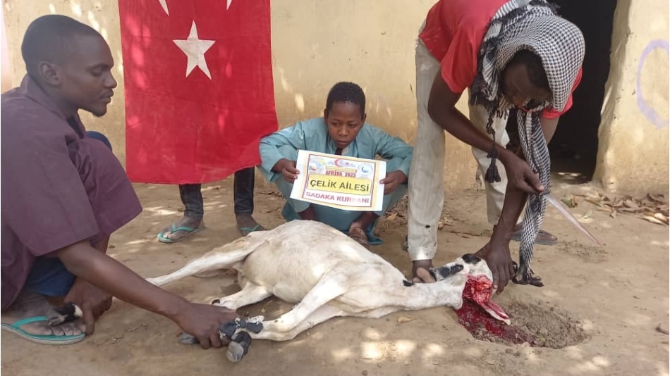 Afrika Benin'de Sadaka kurban kesip yoksul ailelere dağıttık