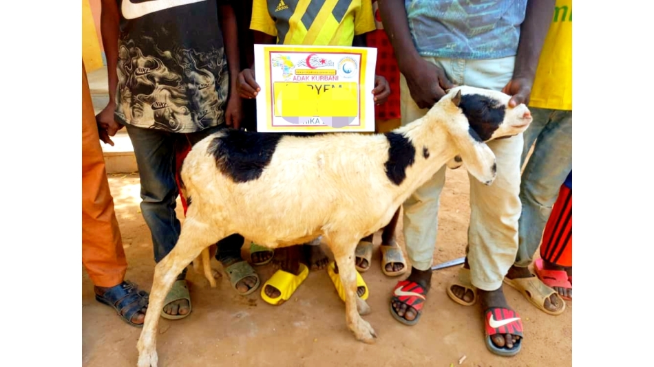 Adak kurbanı kesimi Afrika Kamerun