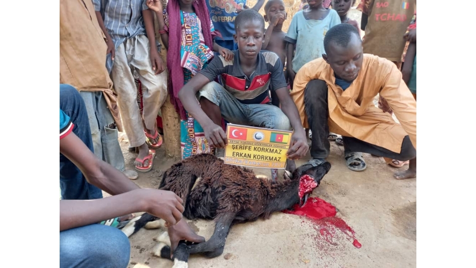 Afrika Kamerun Adak kurbanı