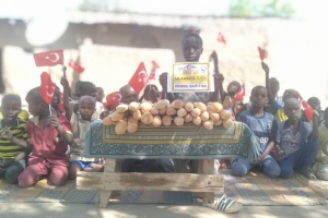 Afrika Kamerun Ekmek dağıtımı 2022