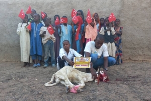 Afrika Nijerya Adak kurban kesimi 2022