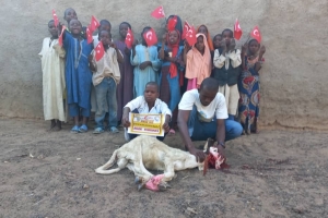 Afrika Nijerya Adak kurban kesimi 2022