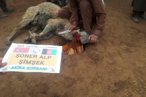 Afganistan cevizcan Türkmen köyleri akika kutban kesimi 2022