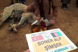 Afganistan cevizcan Türkmen köyleri akika kutban kesimi 2022