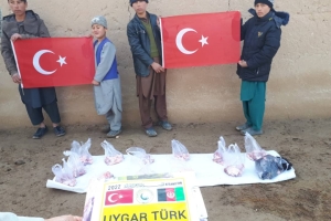 Afganistan Adak kurban kesimi 2022