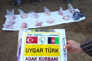 Afganistan Adak kurban kesimi 2022