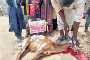 Afrika Nijer cumhuriyeti adak kurban kesim ve dağıtım