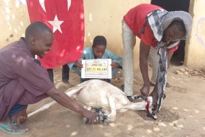 Afrika Benin'de Sadaka kurban kesip yoksul ailelere dağıttık