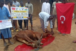 Afrika Nijer kurban kesim ve dağıtım organizasyonu Kurban Bayramı Temmuz 2022 20 Görsel