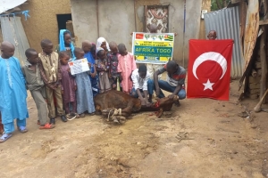 Afrika Togo kurban kesim ve dağıtım organizasyonu Kurban Bayramı Temmuz 2022 20 Görsel