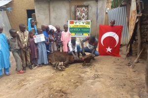 Afrika Togo kurban kesim ve dağıtım organizasyonu Kurban Bayramı Temmuz 2022 20 Görsel