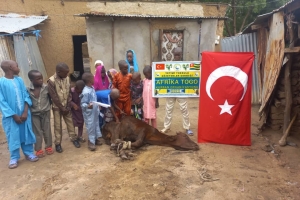 Afrika Togo kurban kesim ve dağıtım organizasyonu Kurban Bayramı Temmuz 2022 20 Görsel