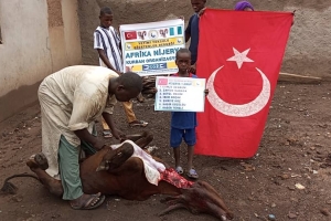 Afrika Nijerya kurban kesim ve dağıtım organizasyonu Kurban Bayramı Temmuz 2022 20 Görsel