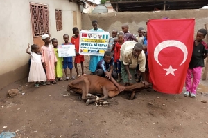 Afrika Nijerya kurban kesim ve dağıtım organizasyonu Kurban Bayramı Temmuz 2022 20 Görsel