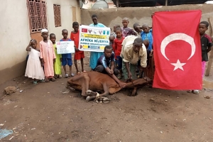 Afrika Nijerya kurban kesim ve dağıtım organizasyonu Kurban Bayramı Temmuz 2022 20 Görsel