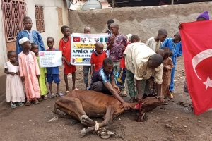 Afrika Nijerya kurban kesim ve dağıtım organizasyonu Kurban Bayramı Temmuz 2022 20 Görsel