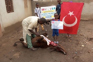 Afrika Nijerya kurban kesim ve dağıtım organizasyonu Kurban Bayramı Temmuz 2022 20 Görsel