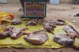 Afrika Çad Vacip Kurban kesimi ve dağıtımı Kurban Bayramı Temmuz 2022