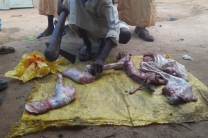 Afrika Çad Vacip Kurban kesimi ve dağıtımı Kurban Bayramı Temmuz 2022