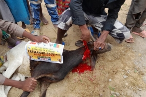 Afrika Kamerun Adak kurban kesimi ve ihtiyaç sahibi ailelere dağıtımı Temmuz 2022