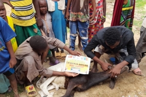 Afrika Kamerun Adak kurban kesimi ve ihtiyaç sahibi ailelere dağıtımı Temmuz 2022