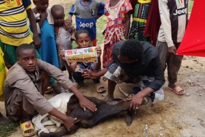 Afrika Kamerun Adak kurban kesimi ve ihtiyaç sahibi ailelere dağıtımı Temmuz 2022