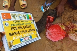 Afrika BENİN Adak kurban kesimi Eylül 2022 Yetimi yoksulu gozetenler derneği 