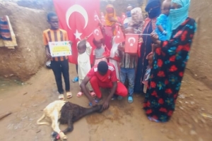 Afrika BENİN Adak kurban kesimi Eylül 2022 Yetimi yoksulu gozetenler derneği 