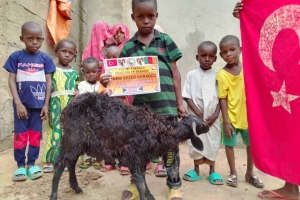 Afrika Kamerun Adak kurbani kesilip yetim yoksul ailelere dağıtıldı Eylül 2022