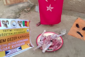 Afrika Kamerun Adak kurbani kesilip yetim yoksul ailelere dağıtıldı Eylül 2022
