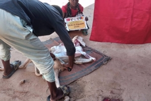 Afrika Kamerun bölgesinde Şükür kurbanı kesip yetim ve yoksul ailelere dağıtıldı Yetimi yoksulu gozetenler derneği Eylül 2022