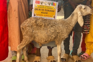 Afrika Kamerun bölgesinde Şükür kurbanı kesip yetim ve yoksul ailelere dağıtıldı Yetimi yoksulu gozetenler derneği Eylül 2022