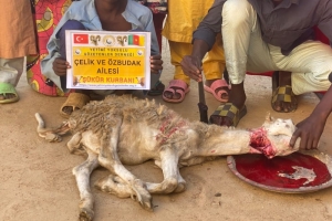 Afrika Kamerun bölgesinde Şükür kurbanı kesip yetim ve yoksul ailelere dağıtıldı Yetimi yoksulu gozetenler derneği Eylül 2022