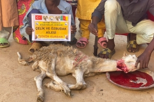 Afrika Kamerun bölgesinde Şükür kurbanı kesip yetim ve yoksul ailelere dağıtıldı Yetimi yoksulu gozetenler derneği Eylül 2022