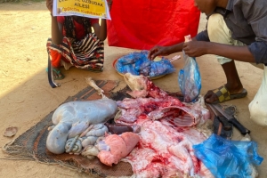 Afrika Kamerun bölgesinde Şükür kurbanı kesip yetim ve yoksul ailelere dağıtıldı Yetimi yoksulu gozetenler derneği Eylül 2022