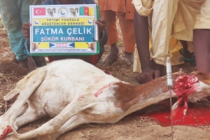 Afrika Kamerunun yoksul köylerindeki ailelere kurban eti dağıtımında bulunduk Ekim 2022