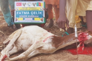 Afrika Kamerunun yoksul köylerindeki ailelere kurban eti dağıtımında bulunduk Ekim 2022