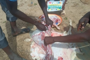 Afrika Kamerun köylerinde Adak kurbanı keserek yetim ve yoksul aileleri evlerinde ziyaret ederek dağıttik Ekim 2022