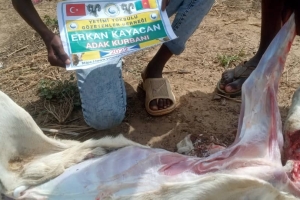 Afrika Kamerun köylerinde Adak kurbanı keserek yetim ve yoksul aileleri evlerinde ziyaret ederek dağıttik Ekim 2022