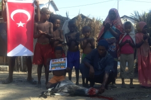 Afrika Madagaskar köylerinde hayırseverimiz adına şifa kurbanı kesilip yetim ve yoksul ailelere dağıtıldı Ekim 2022