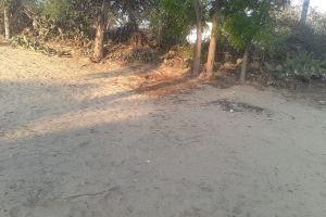 Madagaskardaki ekmek Dağıtımlarımız devam ediyor Yetimi yoksulu gozetenler uluslararası insani yardım ve eğitim derneği 